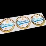 Recycled Plastic Sticker